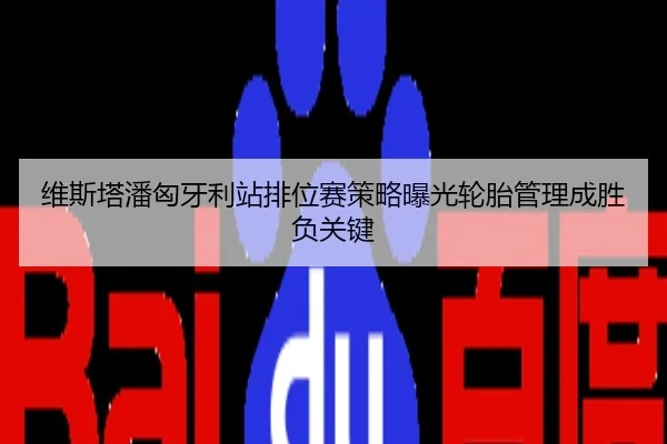 维斯塔潘匈牙利站排位赛策略曝光轮胎管理成胜负关键
