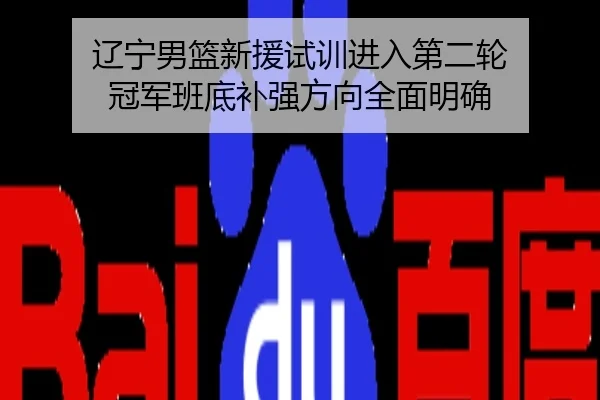 辽宁男篮新援试训进入第二轮 冠军班底补强方向全面明确